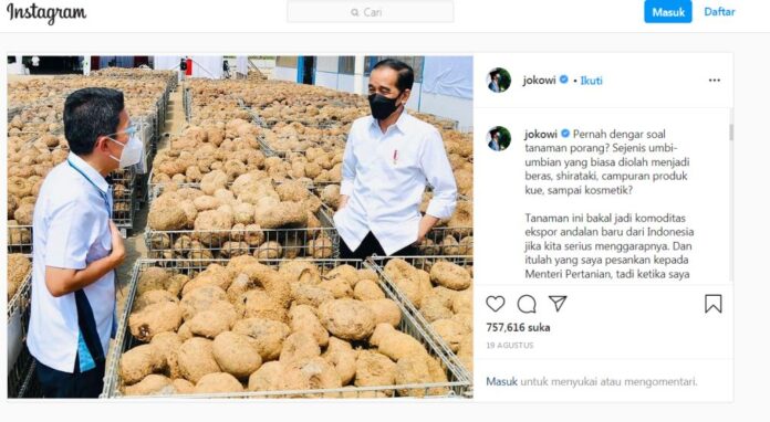 instagram presiden jokowi