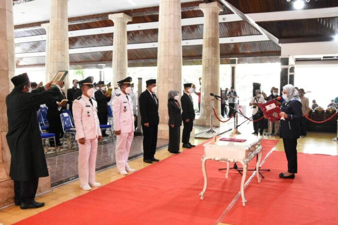 WhatsApp Image 2021-11-05 at 11.46.03