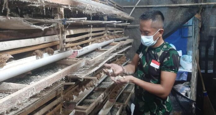 WhatsApp Image 2021-11-20 at 13.37.20