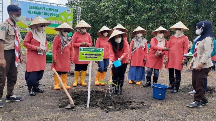 WhatsApp Image 2021-12-04 at 14.09.24