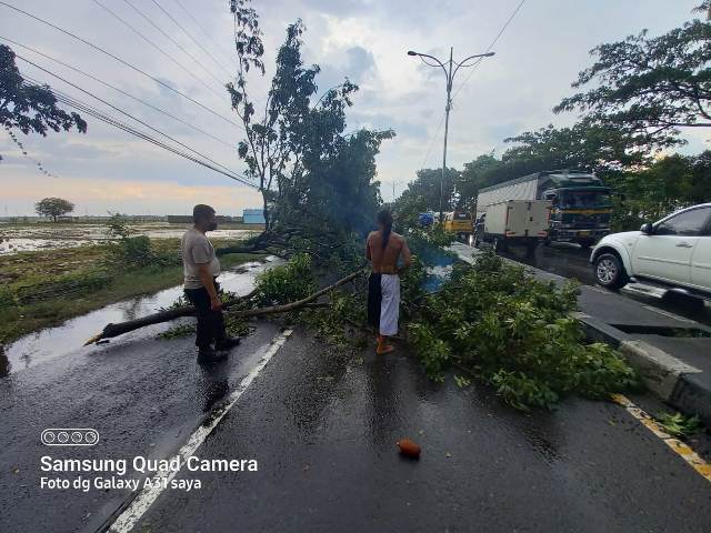 WhatsApp Image 2021-12-12 at 21.17.15