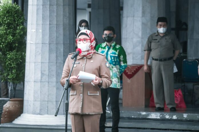 WhatsApp Image 2022-01-03 at 10.35.49