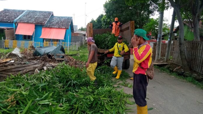 WhatsApp Image 2022-01-27 at 09.32.46