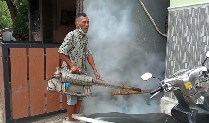 WhatsApp Image 2022-02-13 at 14.53.03