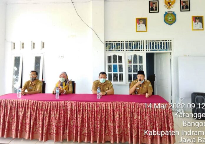 WhatsApp Image 2022-03-14 at 15.27.47