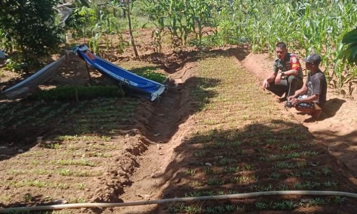 WhatsApp Image 2023-11-06 at 13.46.31