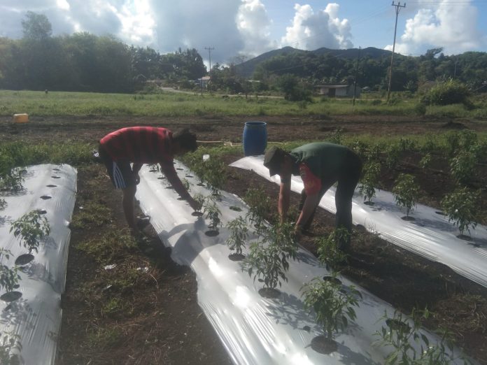 WhatsApp Image 2024-05-01 at 12.50.57