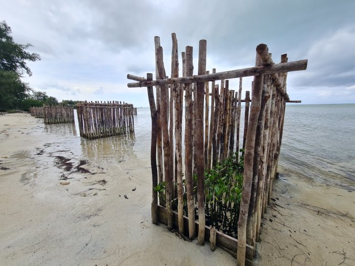 WhatsApp Image 2024-08-22 at 13.12.20