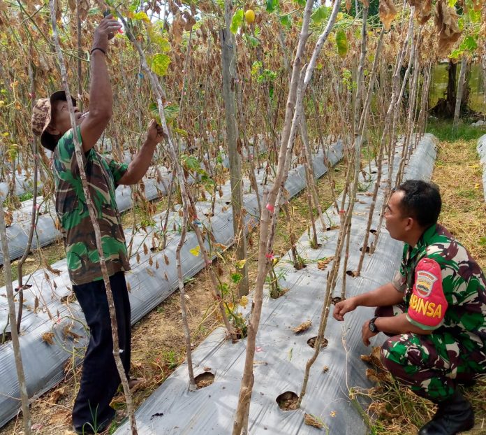 WhatsApp Image 2024-09-21 at 13.17.50