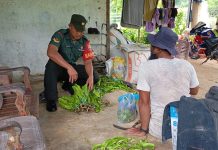 Babinsa Sertu Suriadi Jalin Komsos dengan Petani Petai di Kampung Dapit Desa Ulu Maras