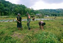 Babinsa Koptu Fian Hendratmo Jalin Komsos dengan Petani dan Peternak di Desa Bukit Padi