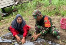 Serda Binran Dampingi Kelompok Wanita Tani Desa Rewak Lakukan Penyemaian Bibit Palawija