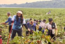 Aksi Bersih Waduk Duriangkang, BP Batam Ajak Warga Jaga Sumber Air Kota