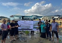 Menanam Harapan di Anambas: Sinergi Antar-Instansi untuk Pantai yang Lestari