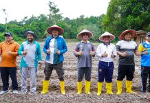 Bupati Anambas Dukung Program Jagung Pipil BUMDes Tarempa Selatan