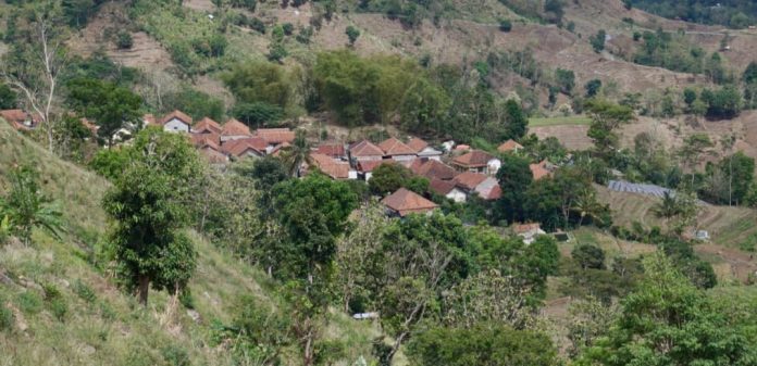 WhatsApp Image 2025-11-08 at 16.57.52