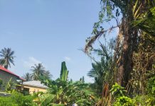 Babinsa Serda Binran Gotong Royong Bersama Warga Teluk Kumbi, Cegah Penyakit dan Perkuat Komsos