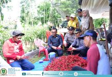 DPRD Bengkalis Dukung Inovasi Petani Optimalkan Lahan Gambut Untuk Pertanian