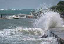 BMKG Natuna Keluarkan Peringatan Gelombang Tinggi, Berlaku 11–14 Januari 2026