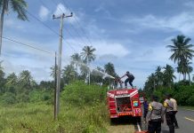 Gerak Cepat Polres Natuna Jinakkan Karhutla di Desa Cemaga, Kapolres Kerahkan AWC dan Damkar