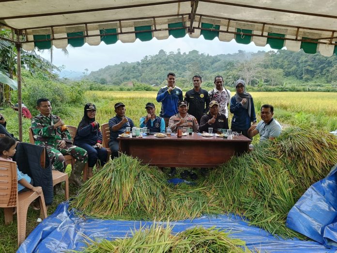 WhatsApp Image 2026-02-15 at 16.53.33