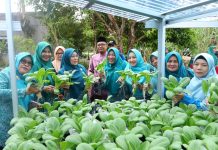 Ketua TP PKK Siak Apresiasi Panen Perdana Rumah Hidroponik KWT Benteng Lestari, Tekankan Konsistensi