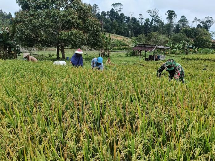 WhatsApp Image 2026-02-24 at 12.14.44