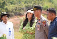 Tinjau Kebakaran Hutan, Ariastuty Imbau Masyarakat Waspadai Setiap Tindakan