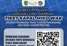 Mudik Lebaran 2026, Kendaraan Roda Empat Wajib Pesan Tiket RoRo Lewat Aplikasi TRIPS Bengkalis