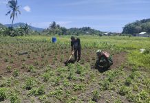 Serka Didih Sukiadi Jalin Komsos dengan Petani di Jemaja Timur, Perkuat Sinergi dan Ketahanan Pangan