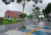 Kolaborasi CSR Percantik Wajah Batam, Bougenville Bikin Kota Makin Asri dan Modern