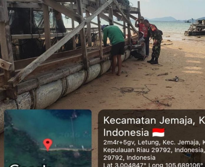 WhatsApp Image 2026-04-04 at 11.46.58