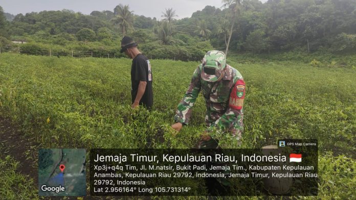 IMG-20260531-WA0024