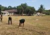 Serda R.A. Binran Bol Hutabarat Gotong Royong Bersama Warga, Siapkan Lapangan Turnamen Cup II Desa Rewak
