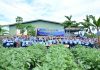 Panen Raya RSA Farm, Lanud Raden Sadjad Dorong Kemandirian Pangan di Natuna