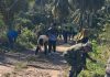 Serda R.A Binran dan Warga Gotong Royong Bersihkan Jalan di Desa Landak