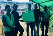Bupati Aneng Hadiri Panen Raya di Desa Pesisir Timur, Tegaskan Komitmen Perkuat Ketahanan Pangan.