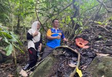 Raflesia Mekar di Batu Tabir, Bupati dan Awak Media Bersatu Gaungkan Ekowisata Anambas.