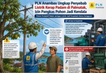 PLN Anambas Ungkap Penyebab Listrik Kerap Padam di Palmatak, Izin Pangkas Pohon Jadi Kendala