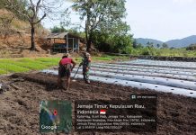 Sertu Olih Solih Bantu Petani Rawat Kebun Cabai, Dorong Ketahanan Pangan Desa