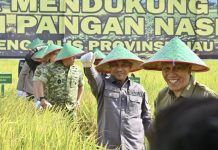 Wabup Bagus Santoso Hadiri Panen Raya TNI, Tegaskan Komitmen Bengkalis Perkuat Ketahanan Pangan