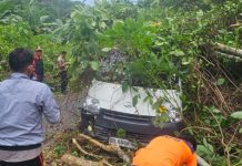 Solid Bergerak, Polsek Siantan, BPBD dan Warga Evakuasi Mobil Ekspedisi yang Tertimpa Pohon