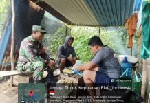 Sertu Olih Solih Dorong Petani Palawija Desa Bukit Padi Tingkatkan Produksi dan Perluas Pemasaran