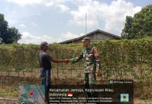 Koptu Fian Hendratmo Dorong Petani Mampok Kembangkan Palawija untuk Dukung Ketahanan Pangan