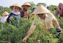 Wagub Kepri: Produksi Pertanian Harus Diikuti Pasar yang Menguntungkan