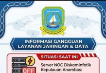 Layanan Jaringan dan Sejumlah Aplikasi Pemkab Anambas Terganggu, Diskominfotik Minta Maaf
