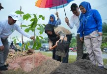 Tanam 5.050 Pohon di Jalan Mempura-Dayun, Bupati Siak: Jangan Hanya Menanam, Rawat Sampai Tumbuh