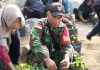 Serda Binran Turun ke Kebun, Dampingi KWT Kembang Seroja Siapkan Lomba Cabe Tingkat Provinsi