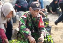 Serda Binran Turun ke Kebun, Dampingi KWT Kembang Seroja Siapkan Lomba Cabe Tingkat Provinsi