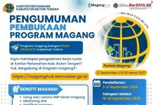 Kantor Pertanahan Buton Tengah Buka Lowongan Magang Bagi “Fresh Graduate”, Cek Syarat dan Jadwalnya